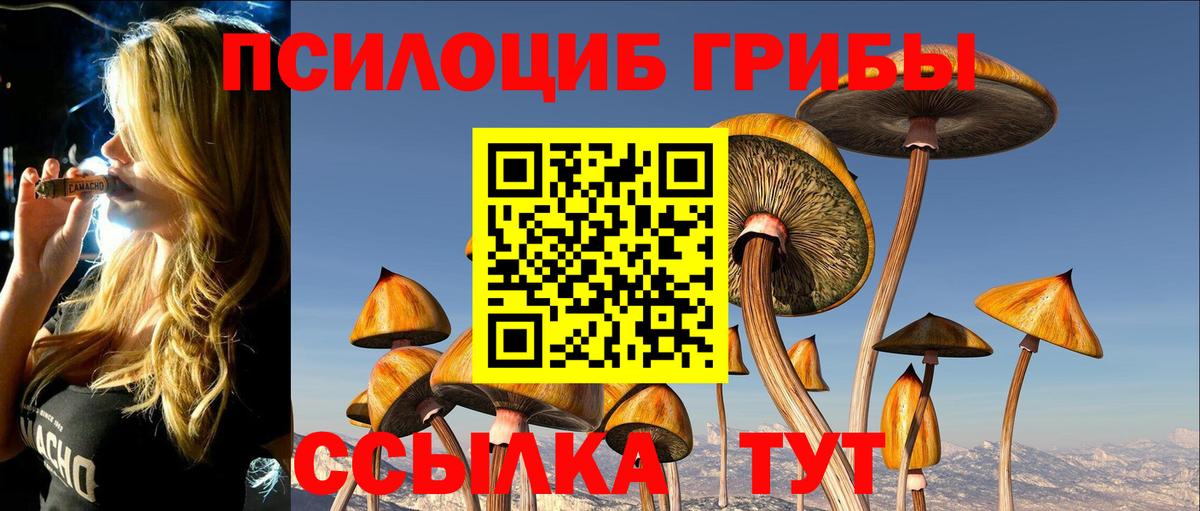 Псилоцибиновые грибы ЛСД Кандалакша