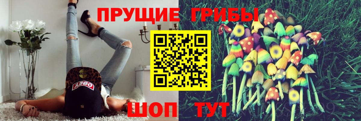 Кандалакша  Галлюциногенные грибы мицелий  закладка  Вход с VPN 