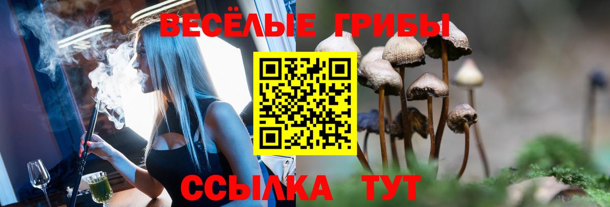 Галлюциногенные грибы MAGIC MUSHROOMS  Кандалакша 